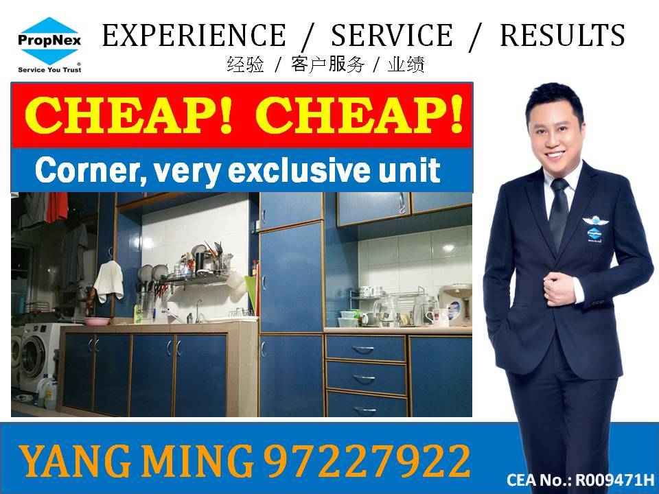 Blk 333 Kang Ching Road (Jurong West), HDB Executive #93488722